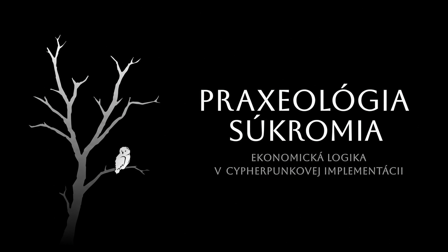 Obal knihy Praxeológia súkromia